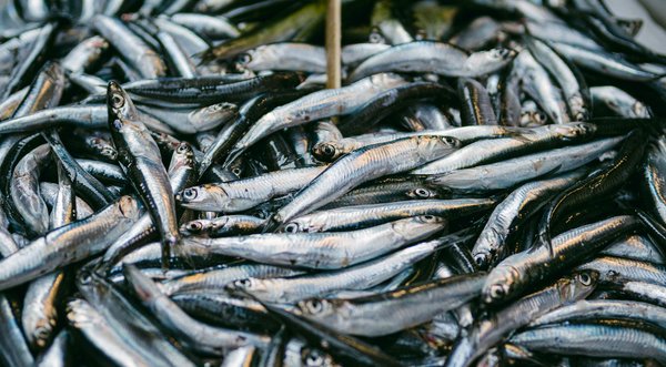 Virologie et biotechnologie : une alliance pour la santé